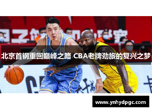 北京首钢重回巅峰之路 CBA老牌劲旅的复兴之梦