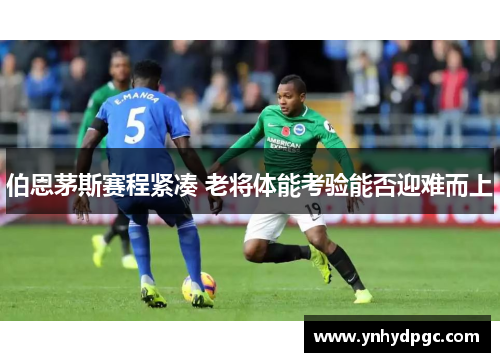 伯恩茅斯赛程紧凑 老将体能考验能否迎难而上